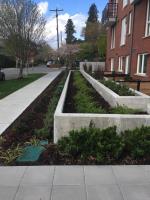Commercial Landscaping Contractor Seattle image 2